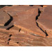 Песчаник ростовский облицовочный природный камень